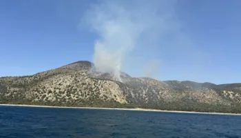Заповедник Утриш загорелся от падения БПЛА