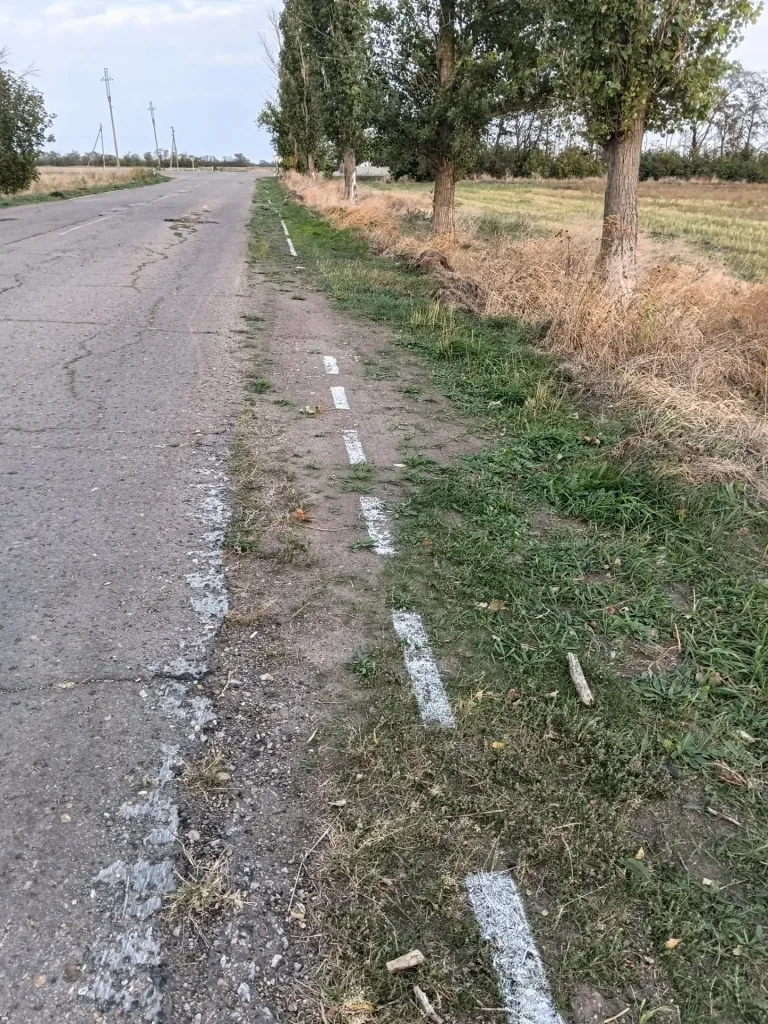 В Ейском районе дорожной разметкой покрасили траву за счёт бюджета