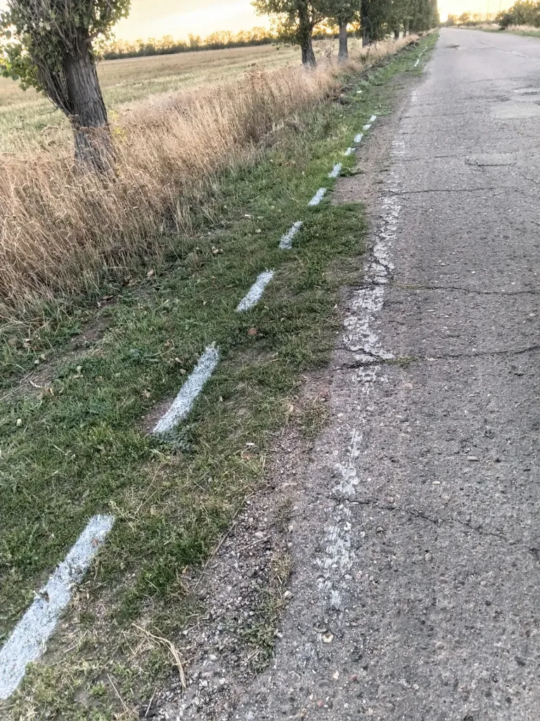 В Ейском районе дорожной разметкой покрасили траву за счёт бюджета