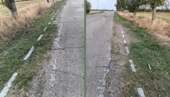 В Ейском районе дорожной разметкой красят траву