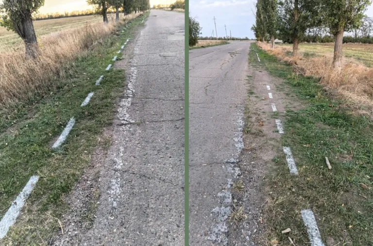 В Ейском районе дорожной разметкой покрасили траву за счёт бюджета