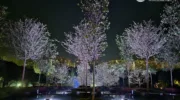 Французский сад с каскадным фонтантом в парке Галицкого (2)