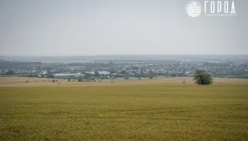 Как выводят земли в частную собственность в Краснодарском крае