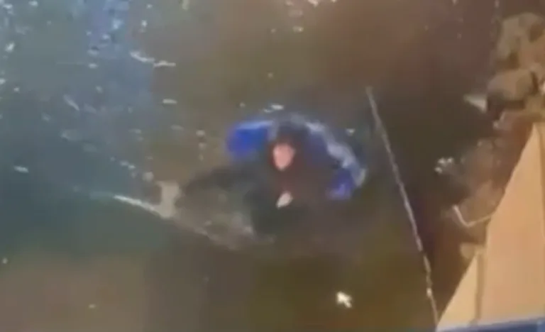 Краснодарцы провалились в глубокую яму во время ливня: видео