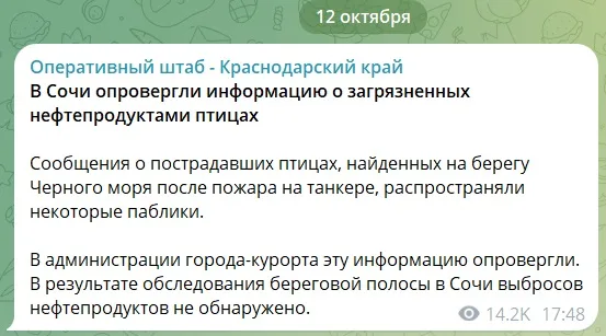 Выбросы мазута убирают на Черноморском побережье у Новороссийска