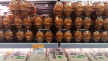 В Краснодарском крае подорожали куриные яйца