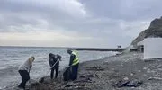 Выбросы мазута в Новороссийске 3
